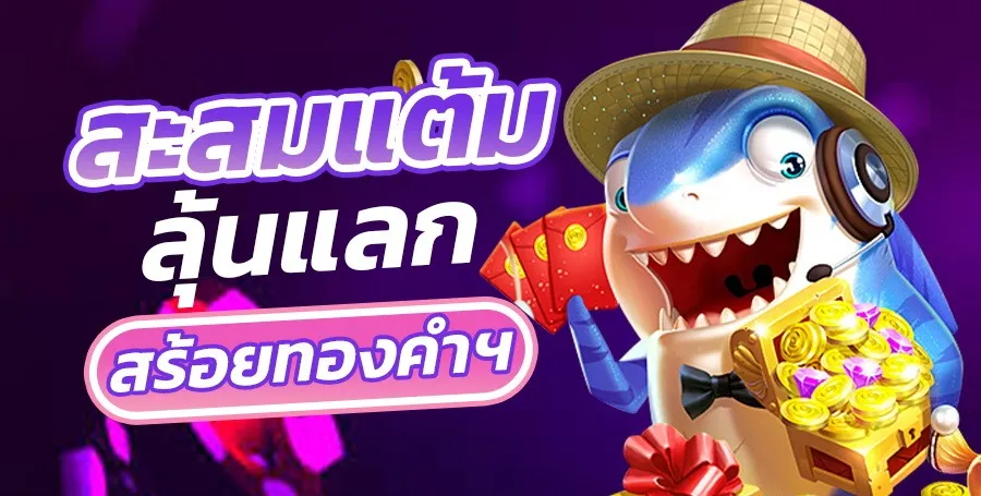 hihuay พัน ทิป สะสมแต้มลุ้นแลก